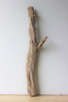 Treibholz Schwemmholz Driftwood  1 XL Stamm  Dekoration  91 cm (ST369)