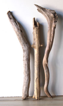 Treibholz Schwemmholz Driftwood  3 XXL  Hölzer Dekoration Terrarium Garten  75 cm - 86 cm lang  (TR1174)
