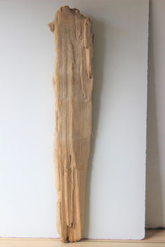 Treibholz Schwemmholz Driftwood  1 MEGA   Skulptur  136 cm   (XXL239)