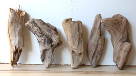 Treibholz Schwemmholz Driftwood 5 knorrige   Hölzer  Dekoration Garten Garderobe 23 cm - 27 cm  **25** (TR1144)