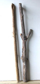 Treibholz Schwemmholz Driftwood  2 XL Äste Dekoration Garten Terrarium 100 cm - 101 cm lang (SA907)
