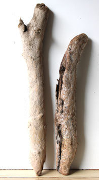 Treibholz Schwemmholz Driftwood 2 XXL Hölzer  Dekoration Garten Garderobe 61 cm - 75  cm  **E50**(TR1136 )