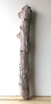 Treibholz Schwemmholz Driftwood  1 XXL Stamm Dekoration Garten Terrarium Ostern Lampenbau 104 cm (ST516)