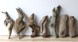 Treibholz Schwemmholz Driftwood  7 Treibhölzer Terrarium Garten  18 cm - 27 cm lang  (TR1193)