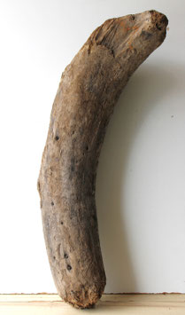 Treibholz Schwemmholz Driftwood 1 knorrige XXL Skulptur Dekoration Terrarium  75 cm (XXL299)