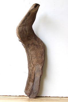 Treibholz Schwemmholz Driftwood 1 Skulptur Dekoration Garten Terrarium 44 cm (SA805)