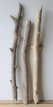 Treibholz Schwemmholz Driftwood  3 XL Äste  59 cm - 72 cm (SA520)
