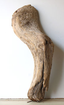 Treibholz Schwemmholz Driftwood  1 XXL  Skulptur Dekoration Garten 80 cm (XXL321)