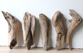Treibholz Schwemmholz Driftwood 5 knorrige Hölzer Dekoration Garten Terrarium  26 cm - 31 cm  **194** (TR1321)