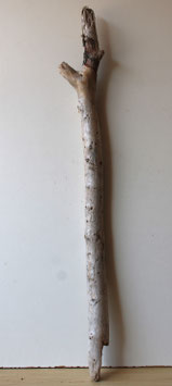 Treibholz Schwemmholz Driftwood  1 XL Ast  Dekoration Garten  Terrarium  96 cm  (Ä1624)
