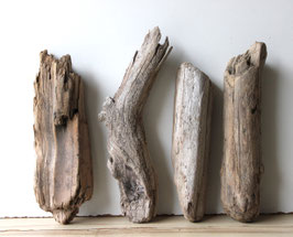 Treibholz Schwemmholz Driftwood  4 knorrige Hölzer Dekoration Garten Terrarium  30-36 cm **E73** (TR1160)