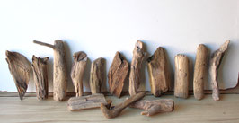 Treibholz Schwemmholz Driftwood 14 kleine Hölzer Dekoration Garten Terrarium 16 cm - 24 cm lang **12** (TR877)