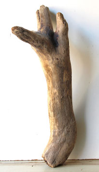 Treibholz Schwemmholz Driftwood 1  Stamm  Dekoration Garten Terrarium 73 cm  (ST497)