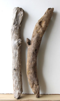 Treibholz Schwemmholz Driftwood 2  XL Hölzer  Dekoration Garten Terrarium Garderobe 58 cm - 60 cm (TR1232)