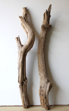 Treibholz Schwemmholz Driftwood 2 XXL Hölzer Dekoration Garderobe  79 cm - 80 cm  (SA779)
