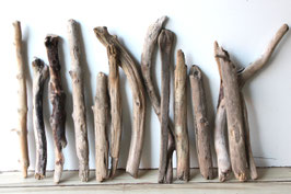 Treibholz Schwemmholz Driftwood  14   Äste  Dekoration Garten Terrarium 30 cm - 46 cm (Ä1675)