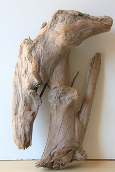 Treibholz Schwemmholz Driftwood  1  XXL  Wurzel  59 cm hoch (W449)