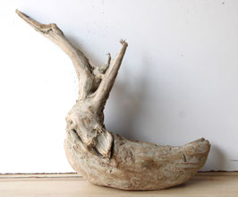 Treibholz Schwemmholz Driftwood  1 knorrige XL  Wurzel 48 cm hoch  (W654)