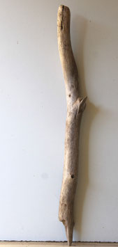 Treibholz Schwemmholz Driftwood 1 XL Ast  Dekoration Garderobe Terrarium 100 cm (SA919)