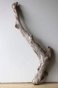 Treibholz Schwemmholz Driftwood 1 XL  Wurzel Dekoration Terrarium Garten 89 cm lang (W667)