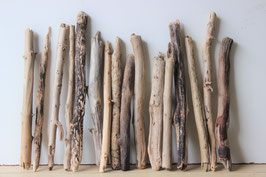 Treibholz Schwemmholz Driftwood 16 Äste    32 cm - 44 cm  **E181** (Ä1376)