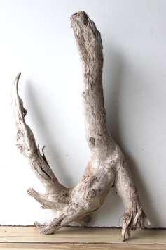 Treibholz Schwemmholz Driftwood  1   Wurzel  Dekoration Garten Terrarium  49 cm  hoch (W695)