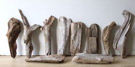 Treibholz Schwemmholz Driftwood  10 kleine  Hölzer Dekoration Garten Terrarium 19 cm - 28 cm  **193** (TR1283)