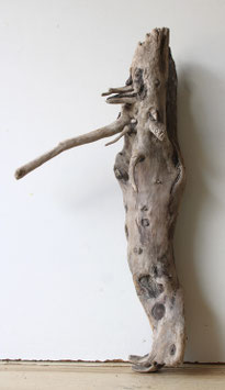 Treibholz Schwemmholz Driftwood 1   Wurzel  Dekoration Garten Terrarium 54 cm   (W746)