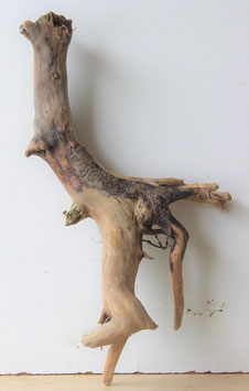 Treibholz Schwemmholz Driftwood  1  Wurzel  54 cm (W428)