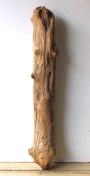 Treibholz Schwemmholz Driftwood  1 XXL Stamm Dekoration Garten Terrarium Ostern Lampenbau 94 cm (ST517)