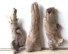 Treiholz Schwemmholz Driftwood 3 knorrige   Hölzer  33 cm - 36 cm lang **204** (TR739)
