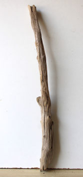 Treibholz Schwemmholz Driftwood  1  Ast  Dekoration Garten Terrarium 69 cm   (Ä1637)