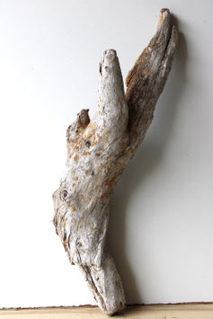 Treibholz Schwemmholz Driftwood 1 knorrige  XL  Wurzel Dekoration Terrarium Garten 72 cm lang (W668)