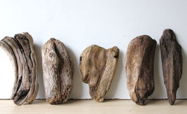 Treibholz Schwemmholz Driftwood 5 knorrige   Hölzer  Dekoration Garten Terrarium 19  cm - 27 cm  (TR1012)