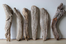 Treibholz Schwemmholz Driftwood  6  Hölzer Dekoration Garten Terrarium 35 cm - 40 cm **E37** (TR1279)