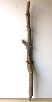 Treibholz Schwemmholz Driftwood 1 XXL Ast Dekoration Garderobe Terrarium 116 cm (SA829)