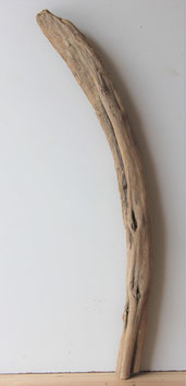 Treibholz Schwemmholz Driftwood  1 XXL  Skulptur 98 cm   (XXL208)