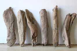 Treibholz Schwemmholz Driftwood  6  Hölzer  Dekoration Garten Terrarium  29 cm - 35 cm  *195* (TR1300)