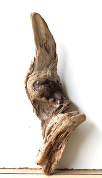 Treibholz Schwemmholz Driftwood  1  Skulptur  Dekoration Garten Terrarium  42 cm  (SA801)
