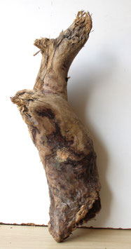 Treibholz Schwemmholz Driftwood  1 knorrige  Skulptur  Dekoration Garten Terrarium 43 cm    (SA789)