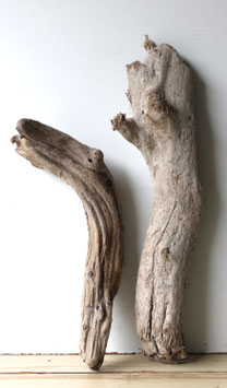 Treibholz Schwemmholz Driftwood  2 XL Hölzer  Dekoration Garten Terrarium 50 cm - 66 cm (TR1238)