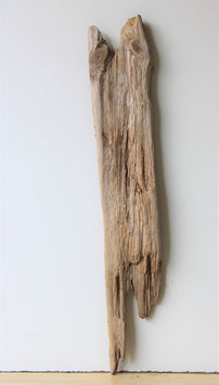 Treibholz Schwemmholz Driftwood  1 XL  Brett 80 cm  (B598)