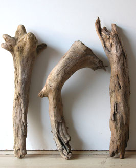 Treibholz Schwemmholz Driftwood 3 knorrige XL Hölzer Dekoration Terrarium 41 cm - 46 cm **E19** (TR1269)