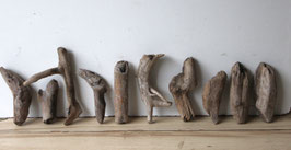 Treibholz Schwemmholz Driftwood 10 kleine  Hölzer Dekoration Terrarium Ostern 13 cm - 23 cm  **207**(TR1255)