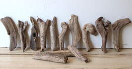 Treibholz Schwemmholz Driftwood 13 kleine  Hölzer  Dekoration Garten Garderobe 18 cm - 22  cm  **45**(TR1141 )
