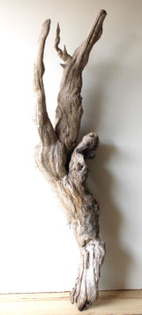 Treibholz Schwemmholz Driftwood  1 XXL  Wurzel Dekoration Garten Terrarium  119 cm lang (W576)