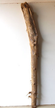 Treibholz Schwemmholz Driftwood  1 MEGA Skulptur Dekoration Garten 149 cm (XXL326)