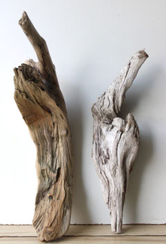 Treibholz Schwemmholz Driftwood  2 knorrige XL Hölzer Dekoration Garten Terrarium 55-64 cm  **E171**(TR1222)