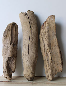 Treibholz Schwemmholz Driftwood 3 knorrige  Hölzer Dekoration Garten Terrarium 35 cm - 41 cm lang (TR1201)
