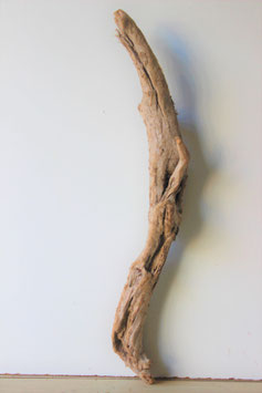 Treibholz Schwemmholz Driftwood  1 XL Rarität  75 cm   (R310)